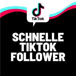 TikTok Follower kaufen