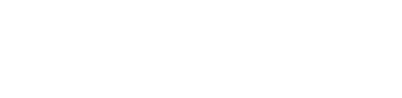 paypal logo white