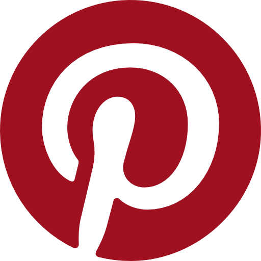 TikTok Icon